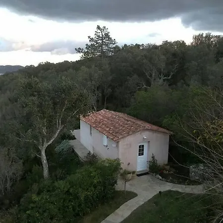 U Cantonu Porto-Vecchio (Corsica)